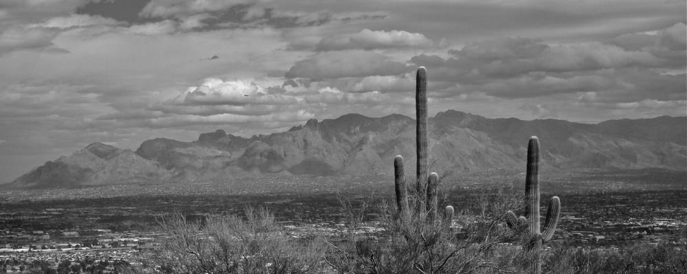 The view from Tumamoc Hill, west of Tucson. Photo: Mindy Butterworth