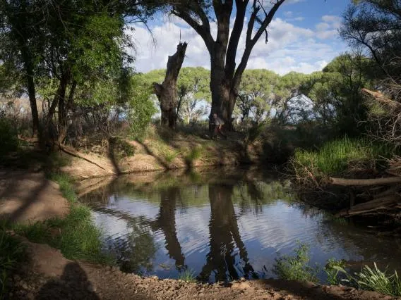 colorado river