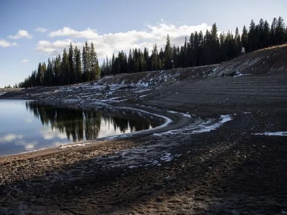 picture of forest with lake