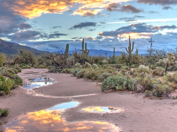 Desert landscape by Dulcey Lima on Unsplash.