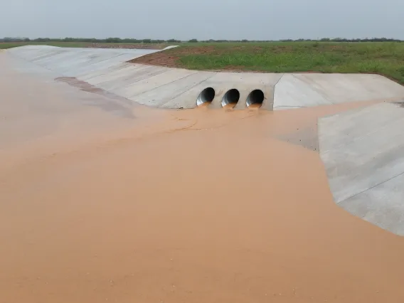 Palominas storm runoff