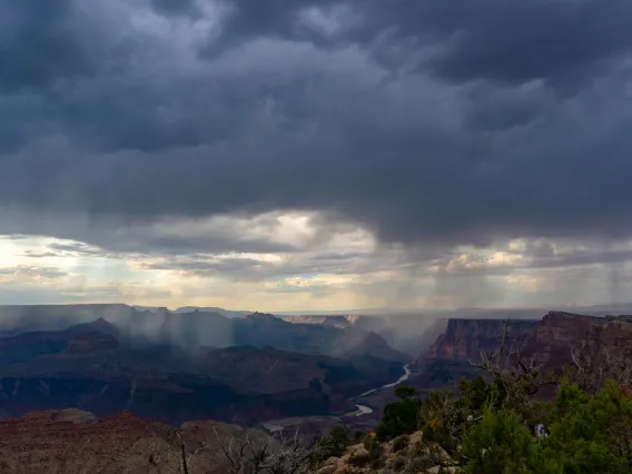 Desert rain photo