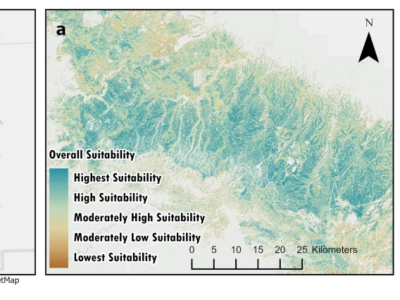 Forest Thinning Suitability Mapping