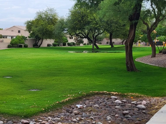 Retention/Detention Basin in Chandler, AZ