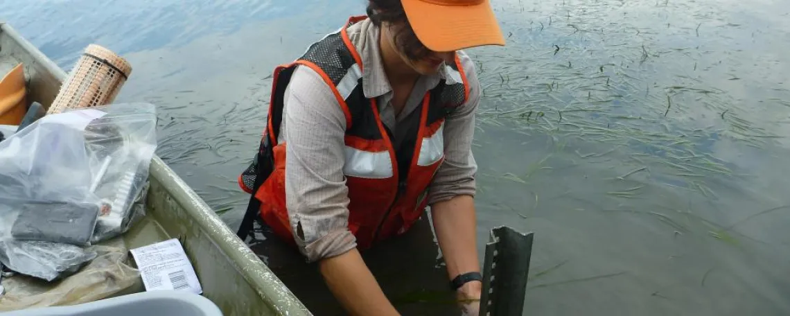 Turbidity monitoring in Eelgrass