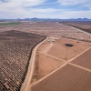 Arizona farmland 
