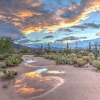 Desert photo